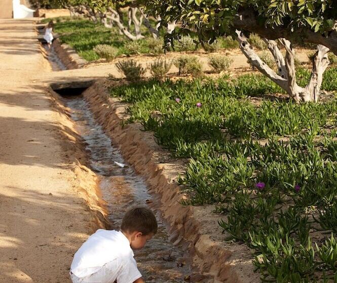 호텔 Babylonstoren