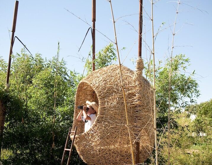 호텔 Babylonstoren