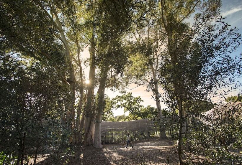 호텔 Babylonstoren