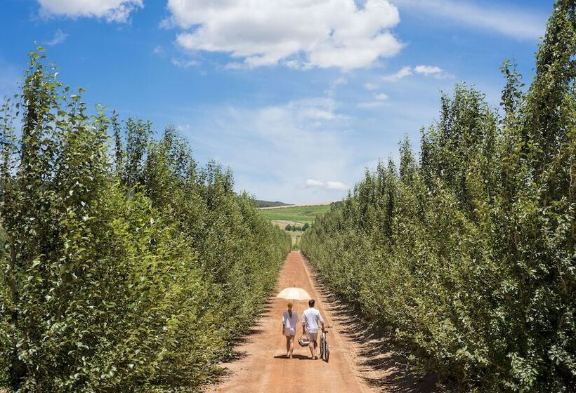호텔 Babylonstoren