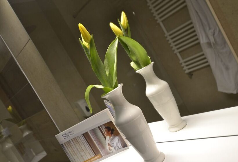 בית מלון כפרי Bagińscy Spa