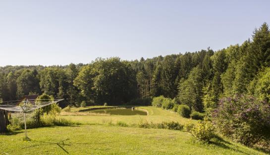 Bauernhof Drei Finken