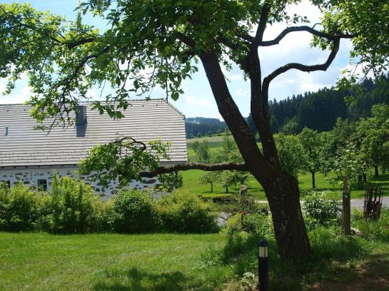 Verwöhnbauernhof im Mühlviertel