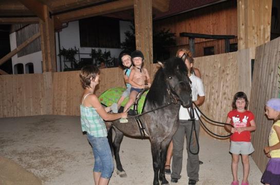 Bauernhof Hof Zu Steinern