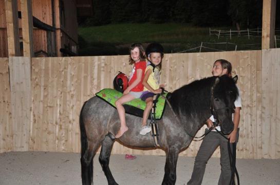 Bauernhof Hof Zu Steinern