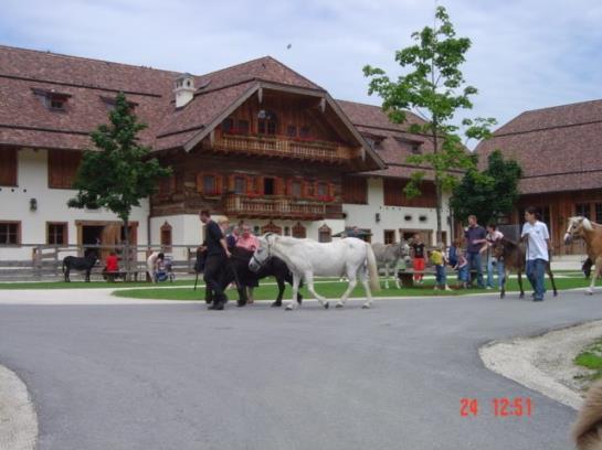 ホテル Gästehaus Jedinger