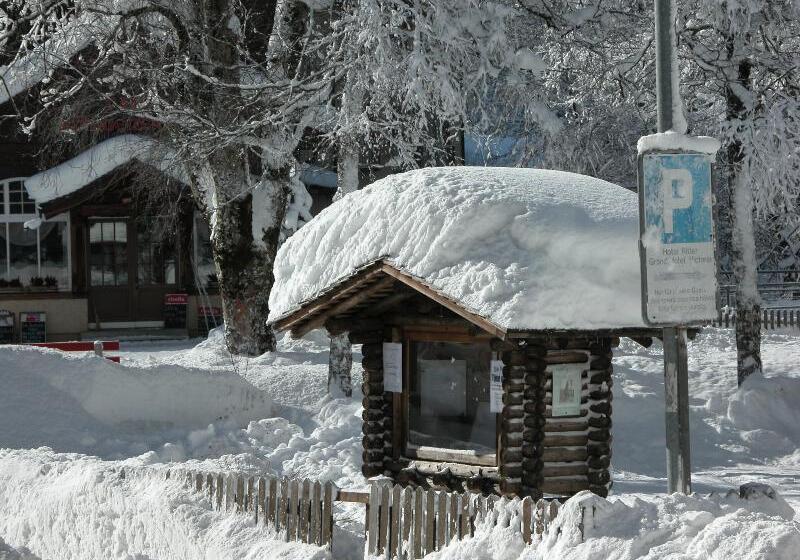 Belle Epoque Hotel Victoria & Apartments
