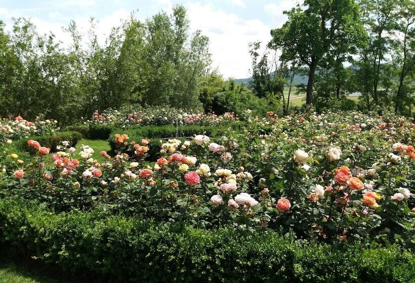 בית מלון כפרי Borgo Ramezzana Country House