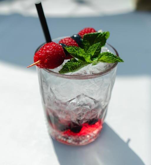 בית מלון כפרי Brasserie Den Engel