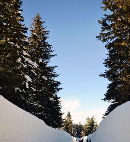 ホテル Brocco & Posta