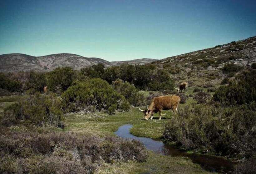 Castrum Villae By Walk Hotels