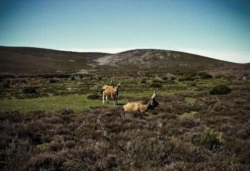 Castrum Villae By Walk Hotels