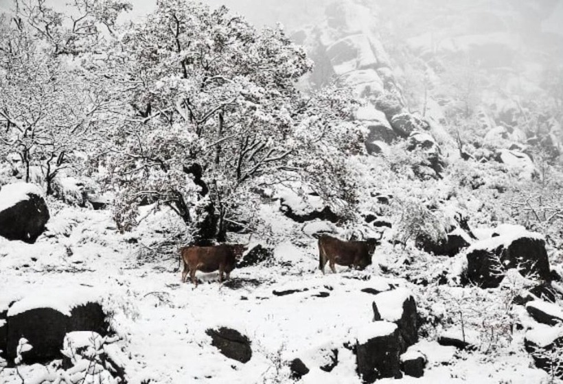 Castrum Villae By Walk Hotels