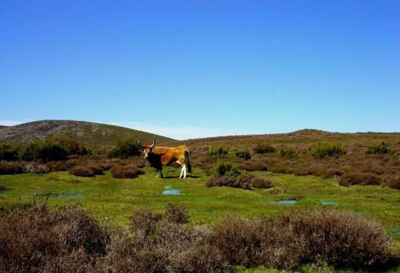 Castrum Villae By Walk Hotels