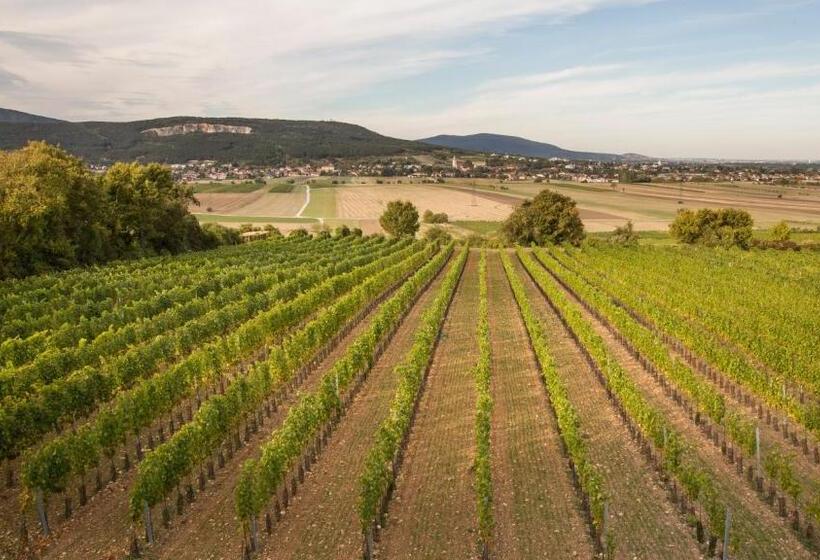 בית מלון כפרי College Garden