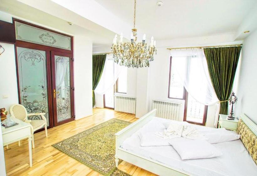 בית מלון כפרי Coroana Moldovei