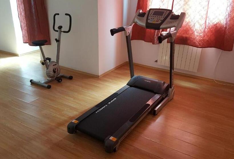 בית מלון כפרי Coroana Moldovei