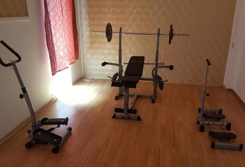 בית מלון כפרי Coroana Moldovei