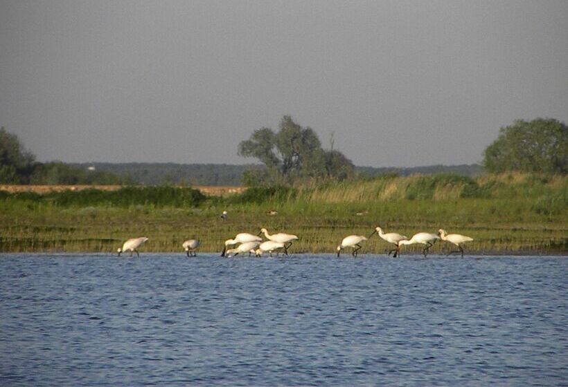 فندق De Brabantse Biesbosch