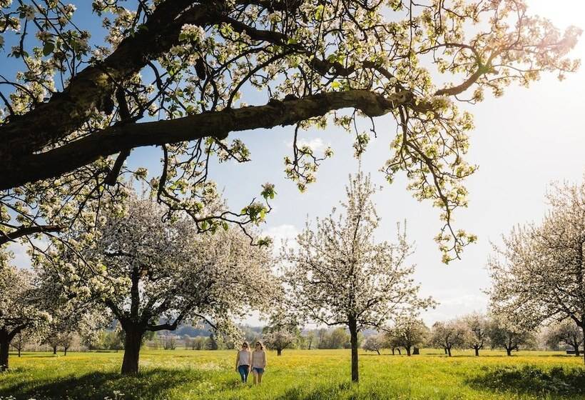 호텔 De Charme Romerhof