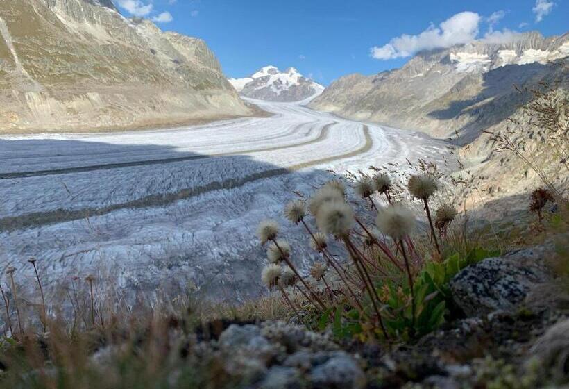 בית מלון כפרי Derby