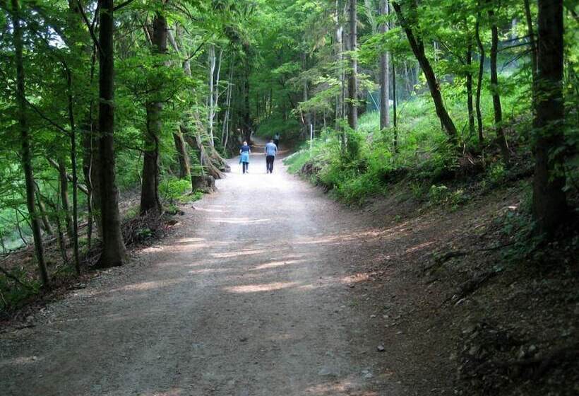 هتل B&b Dvor Tacen