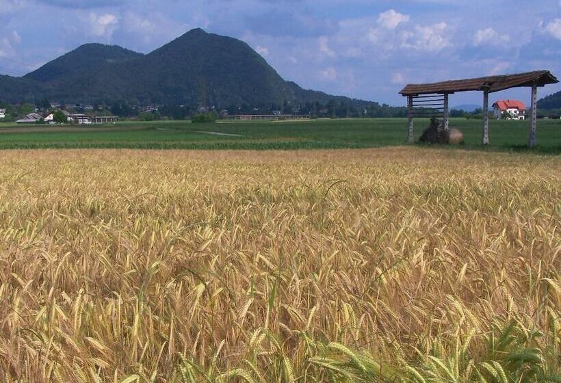 هتل B&b Dvor Tacen