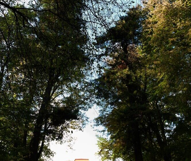 בית מלון כפרי Dwor Sierakow