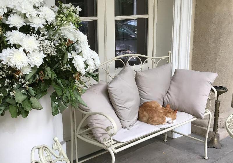 호텔 Dwor Sierakow