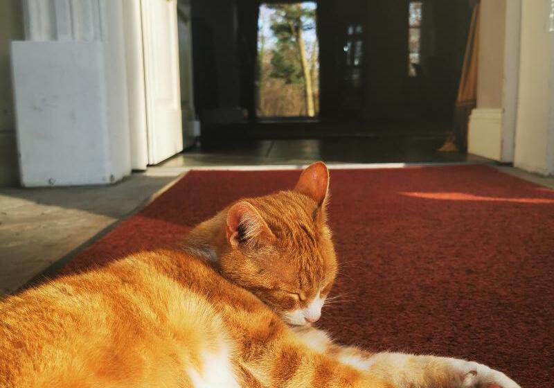 בית מלון כפרי Dwor Sierakow