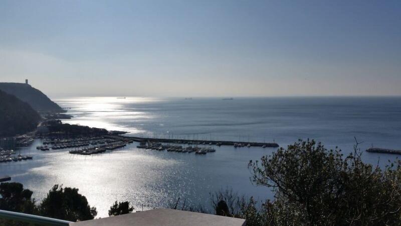 בית מלון כפרי Eden