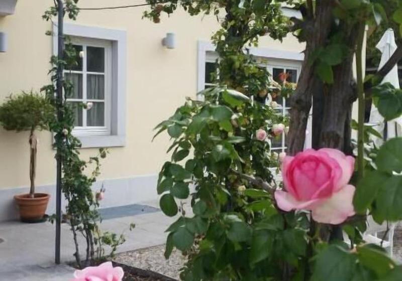 בית מלון כפרי Eden