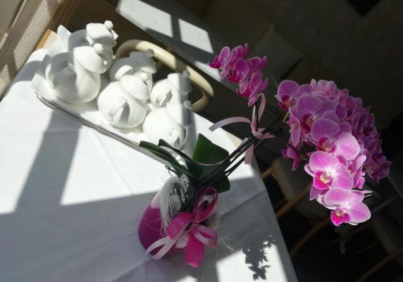 בית מלון כפרי Eden