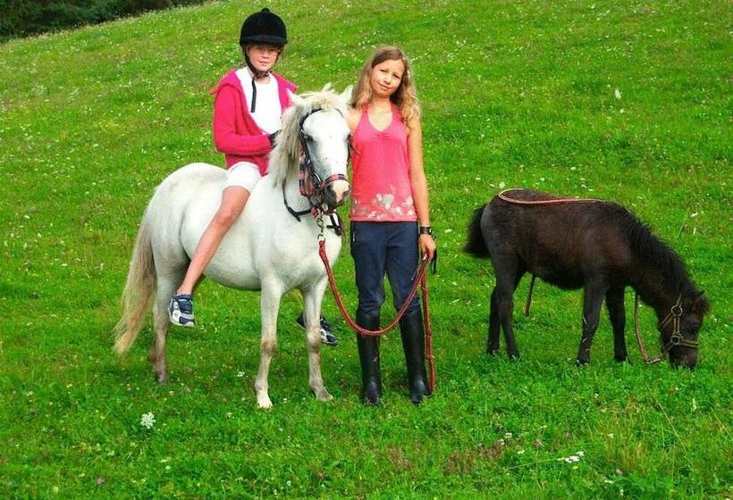 בית מלון כפרי Ferienhaus Huber