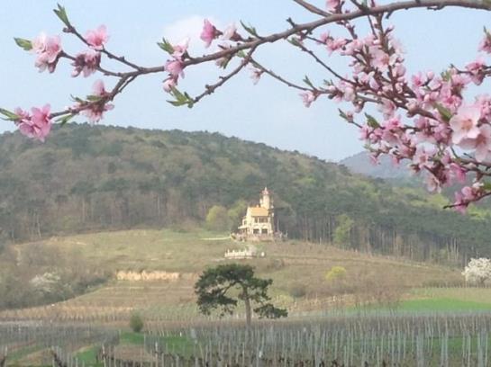 Förster- Appartements
