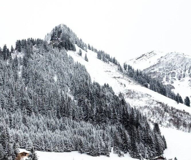 Отель Hôtel Le Relais Alpin