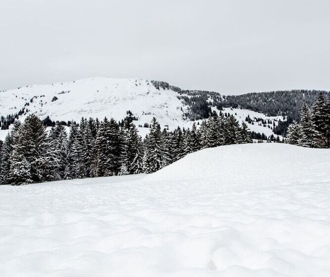 Отель Hôtel Le Relais Alpin