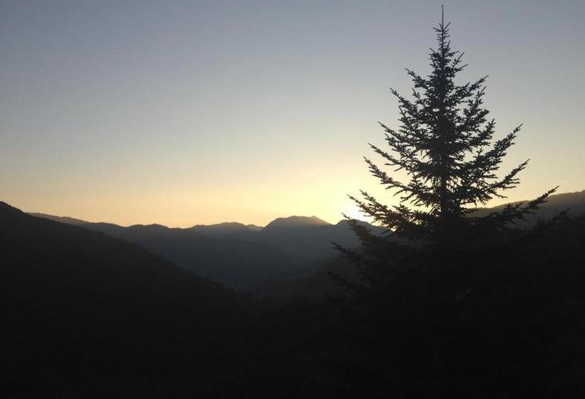 ホテル Albergo Ristorante Il Cacciatore