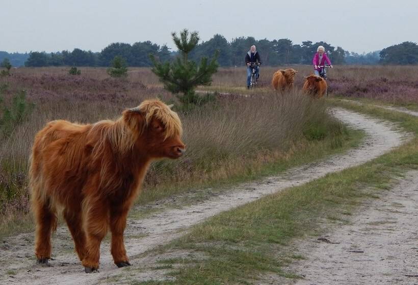 هتل Kapellerput Heeze Eindhoven