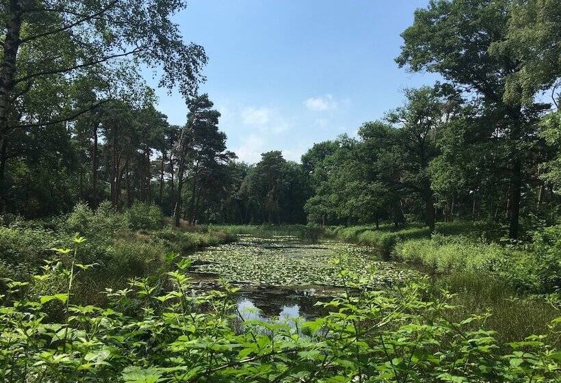 هتل Kapellerput Heeze Eindhoven