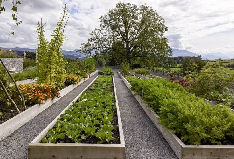 בית מלון כפרי Kloster Kappel