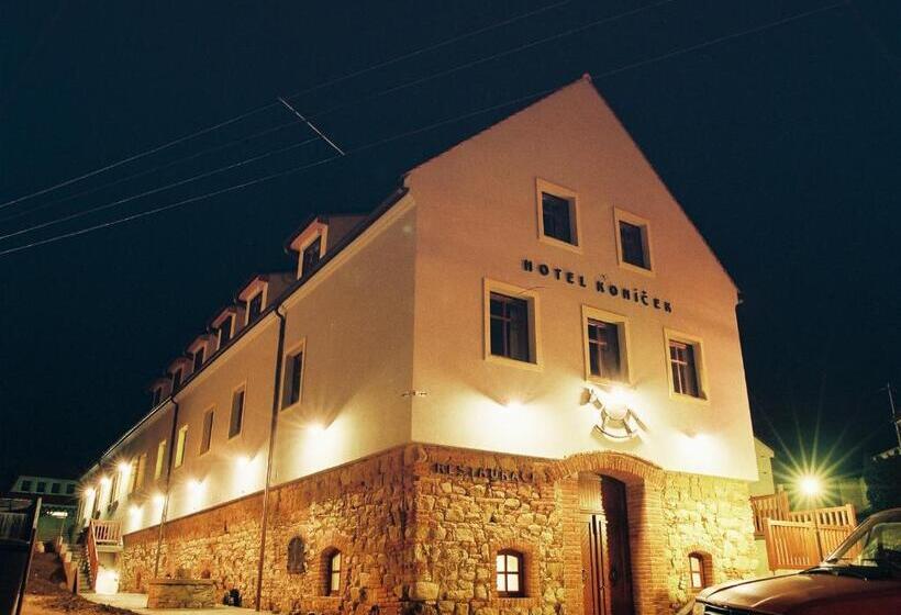 酒店 Koníček