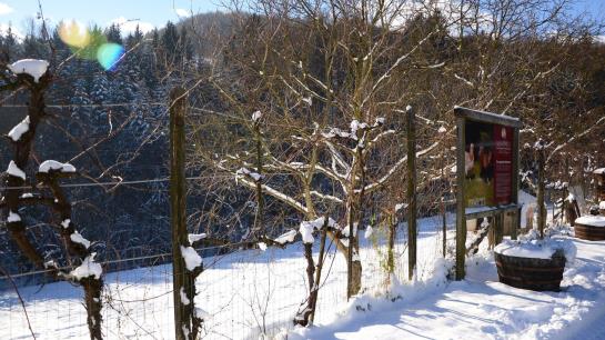 ホテル Koschak Wirt