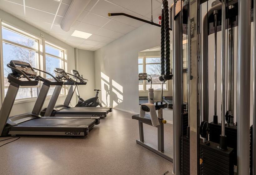 בית מלון כפרי L Storforsen