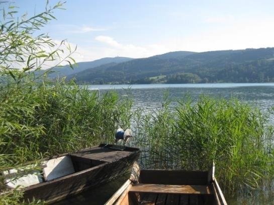 فندق Moarhof Wildenegg