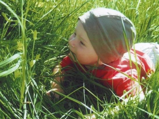 Отель Moarhof Wildenegg