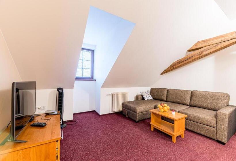 酒店 Nové Adalbertinum