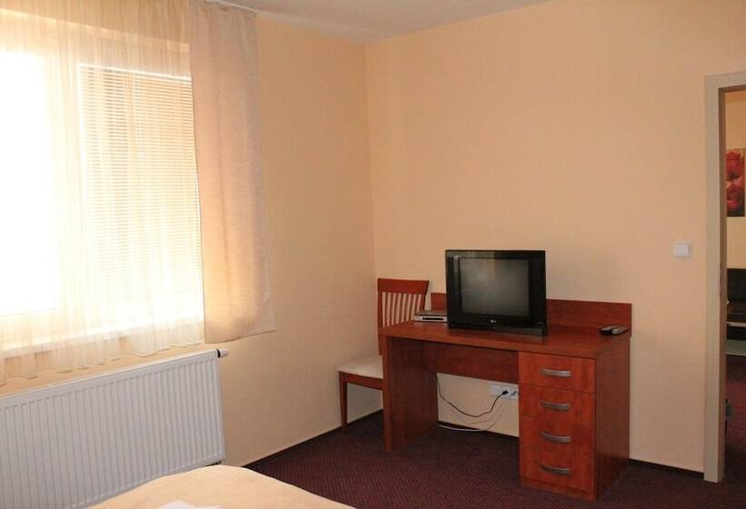 Отель Olympionik