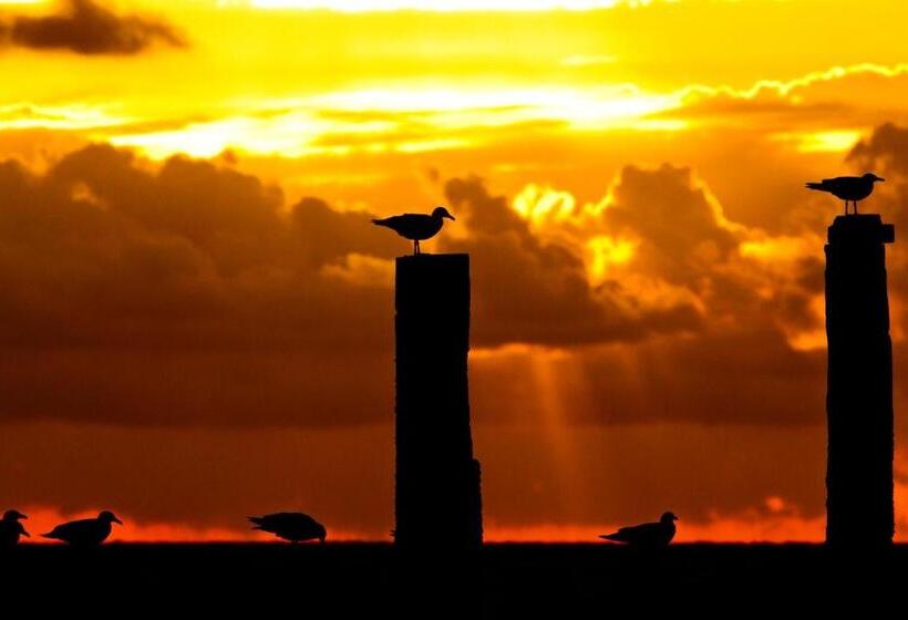 هتل Pannenkoekhuis Vierwegen