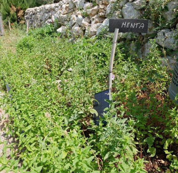 Отель Agriturismo Pantalica Ranch